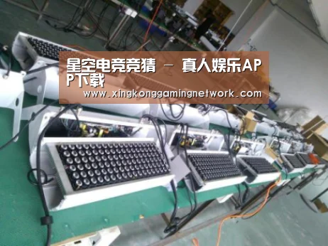 星空体育案例展示一(图1)