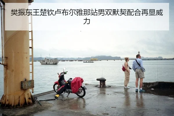 樊振东王楚钦卢布尔雅那站男双默契配合再显威力
