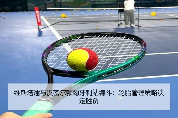 wei-si-ta-pan-yu-han-mi-er-dun-xiong-ya-li-zhan-chan-dou-lun-tai-guan-li-ce-lve-jue-ding-sheng-fu-2-998.jpg
