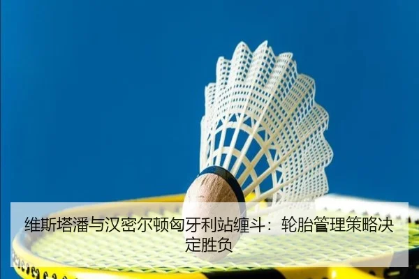 wei-si-ta-pan-yu-han-mi-er-dun-xiong-ya-li-zhan-chan-dou-lun-tai-guan-li-ce-lve-jue-ding-sheng-fu-3-200.jpg