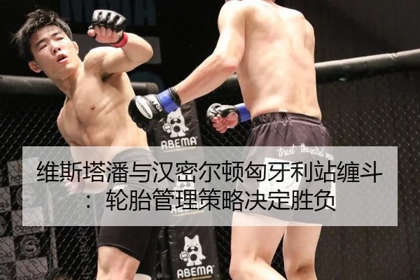 维斯塔潘与汉密尔顿匈牙利站缠斗：轮胎管理策略决定胜负