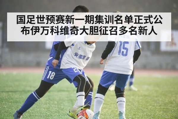 国足世预赛新一期集训名单正式公布伊万科维奇大胆征召多名新人