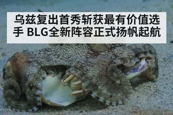 乌兹复出首秀斩获最有价值选手 BLG全新阵容正式扬帆起航