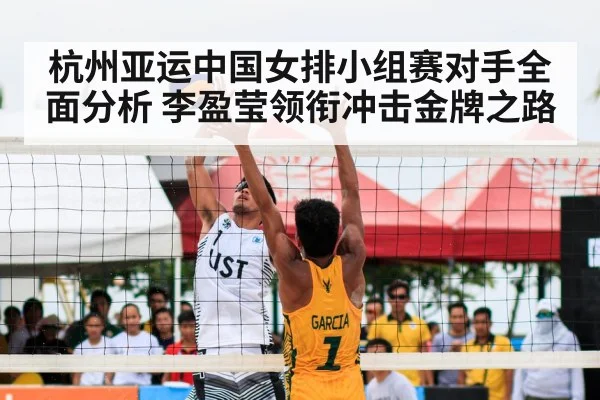 volleyball match net block