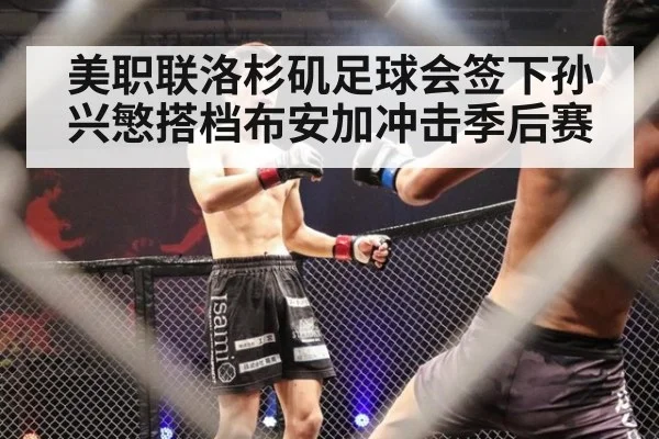 美职联洛杉矶足球会签下孙兴慜搭档布安加冲击季后赛